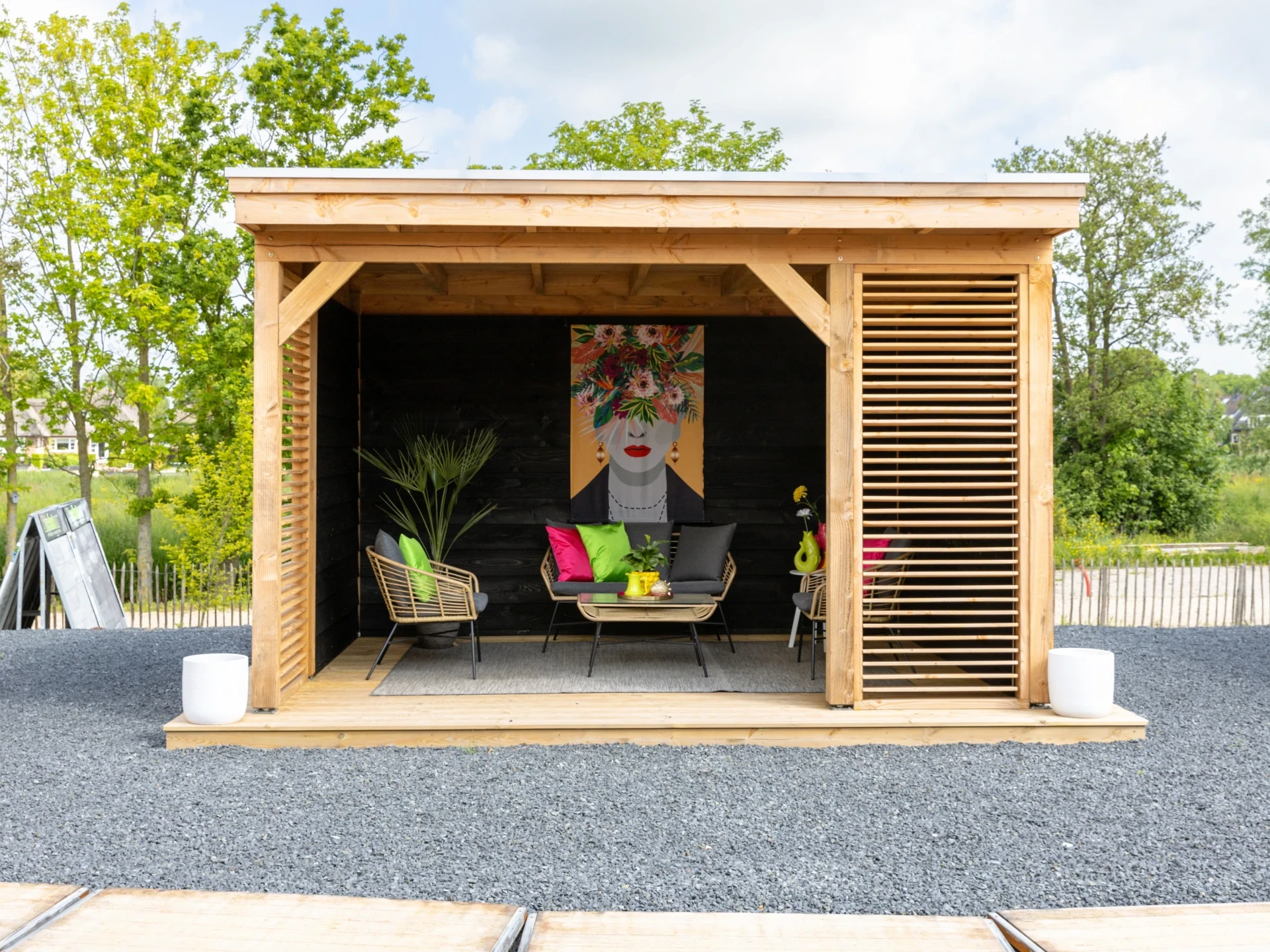 Douglas overkapping, 500 x 250, Met achterwand en zijwand, Westwood DIY zwart - Afbeelding 3